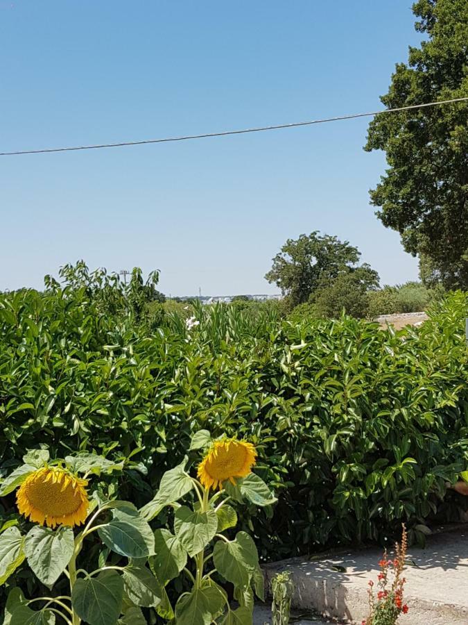 Trulli Della Masseria Staffone Alberobello Eksteriør billede